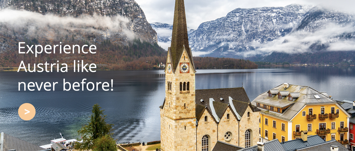 Shorex by Travelive, luxury travel agency