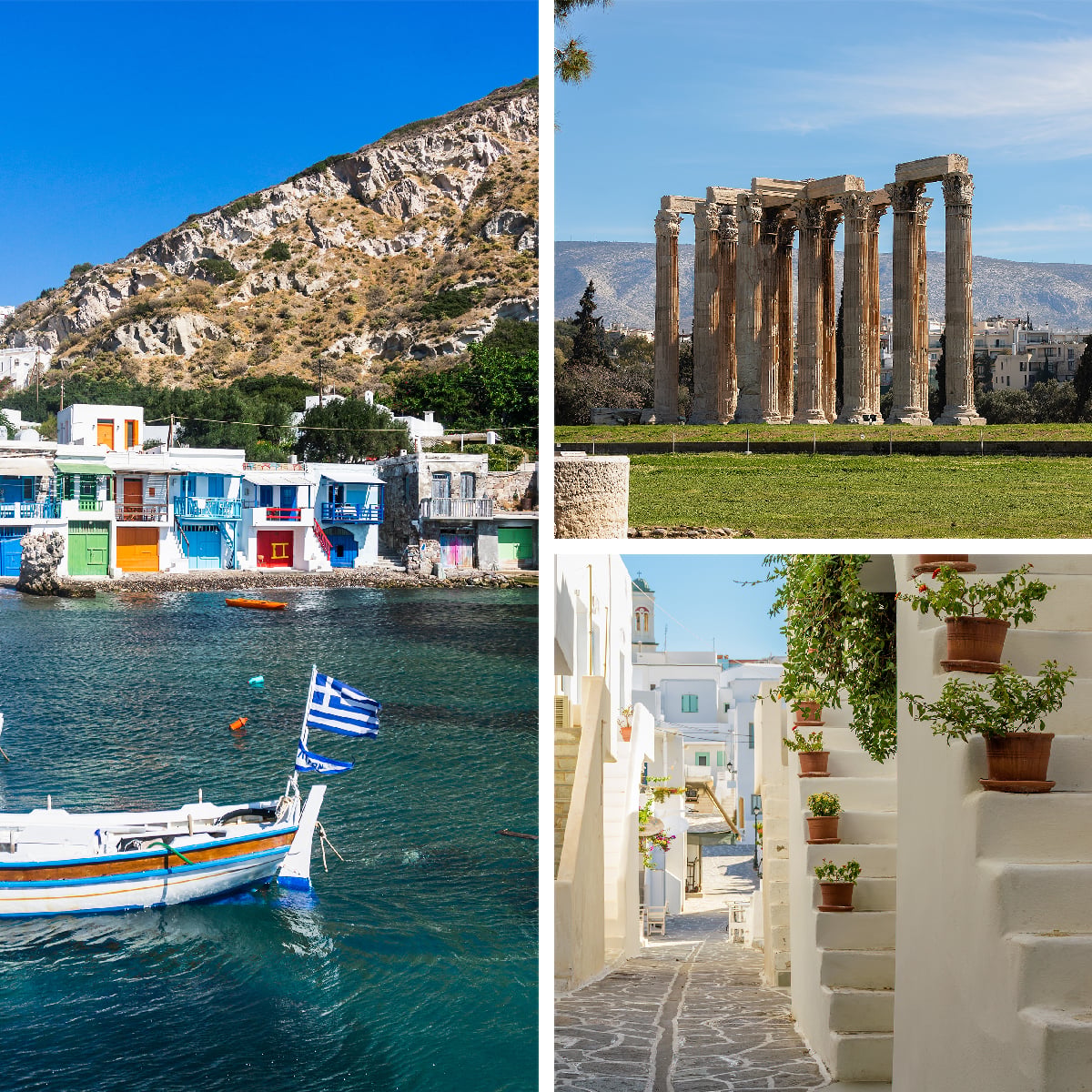 Travelive Reviews
