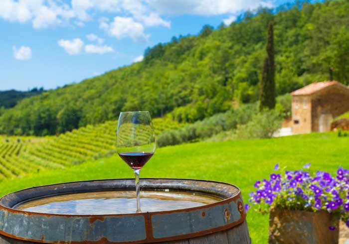 Winetasting in Istrian Hills – Romantic Croatian Honeymoon Package by Travelive