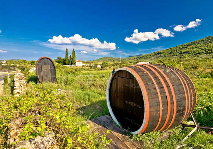 Hvar vineyards, Croatian honeymoon packages created by Travelive
