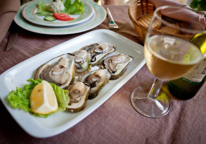 Oysters in Ston Croatia – Luxury Vacation in Croatia, Travelive