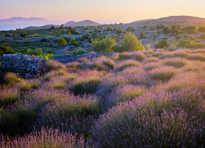 Island Odyssey Hvar Hiking Tour – Luxury Vacation in Croatia