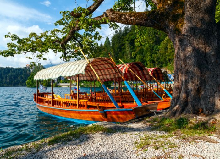 Luxury Vacation in Slovenia, Travelive