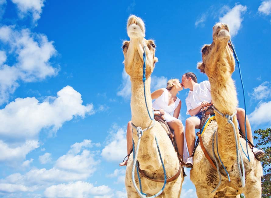 Romantic Camel Ride, Luxury Honeymoon Packages, Egypt Travel