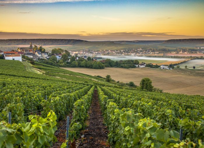 Echoes of Empires: A Journey Through France & England's Timeless Legacy - France Vacation Package Created By Travelive