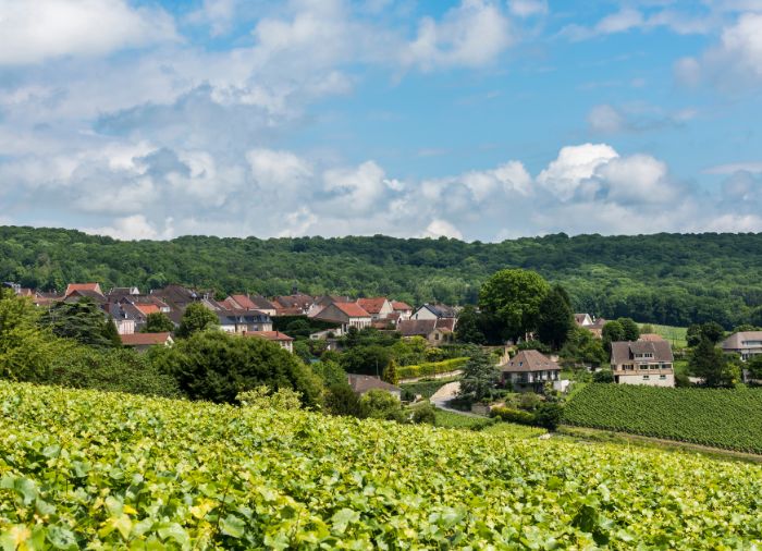 Echoes of Empires: A Journey Through France & England's Timeless Legacy - France Vacation Package Created By Travelive