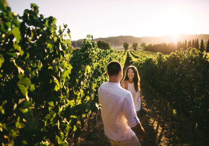 Tuscany Vineyard – Tuscany honeymoon tours with Travelive, romantic luxury packages