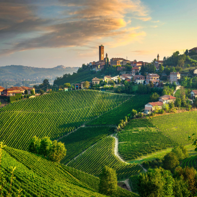 Piedmont, top destinations in Italy, holiday packages in style by Travelive