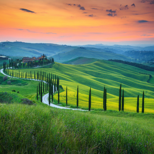 Tuscany countryside exploration, Italy destinations, luxury travel, Travelive