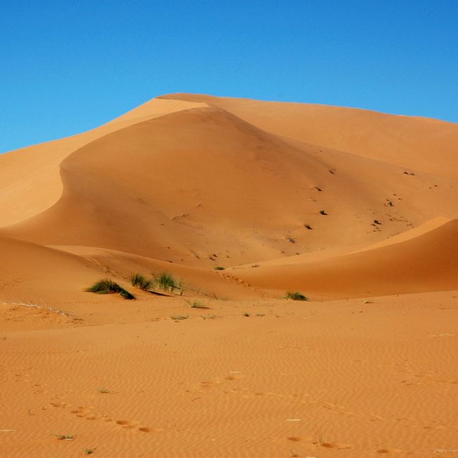 Moroccan Desert, Morocco holiday destinations, luxury packages by Travelive