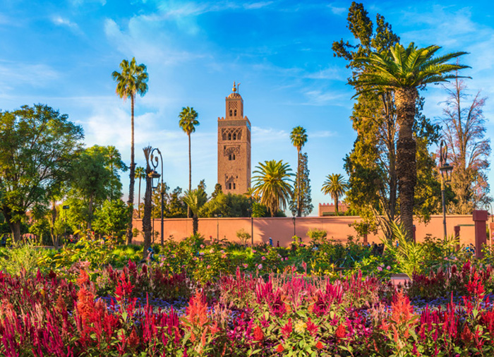 From the Blue Pearl to the Red City: A Moroccan Odyssey package in Tangier, Chefchaouen, Fez, Casablanca, Essaouira, Marrakech