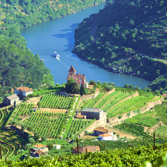 Douro Valley, Portugal holiday destinations, luxury packages by Travelive