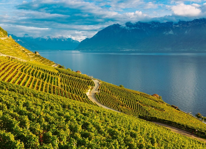 honeymoon packages with Travelive, luxury travel agency