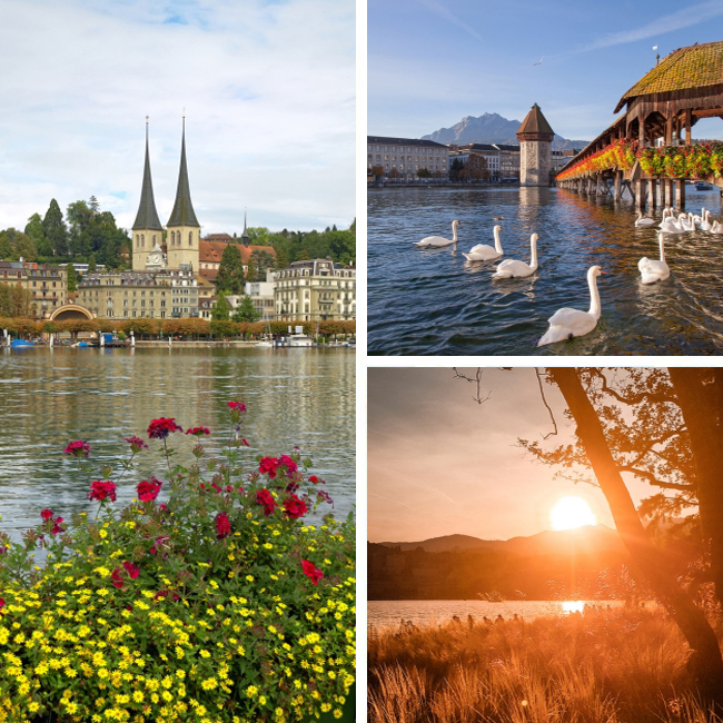 Travelive Reviews
